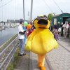 Ente_Marina_2010