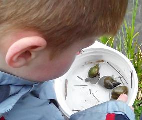 VKM Projekttag Natur-2015