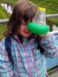 VKM Projekttag Natur 2015