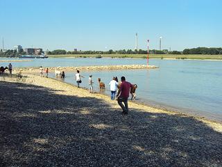 VKM Projekttag Tiere 2015