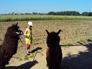 VKM Projekttag Tiere 2015 3