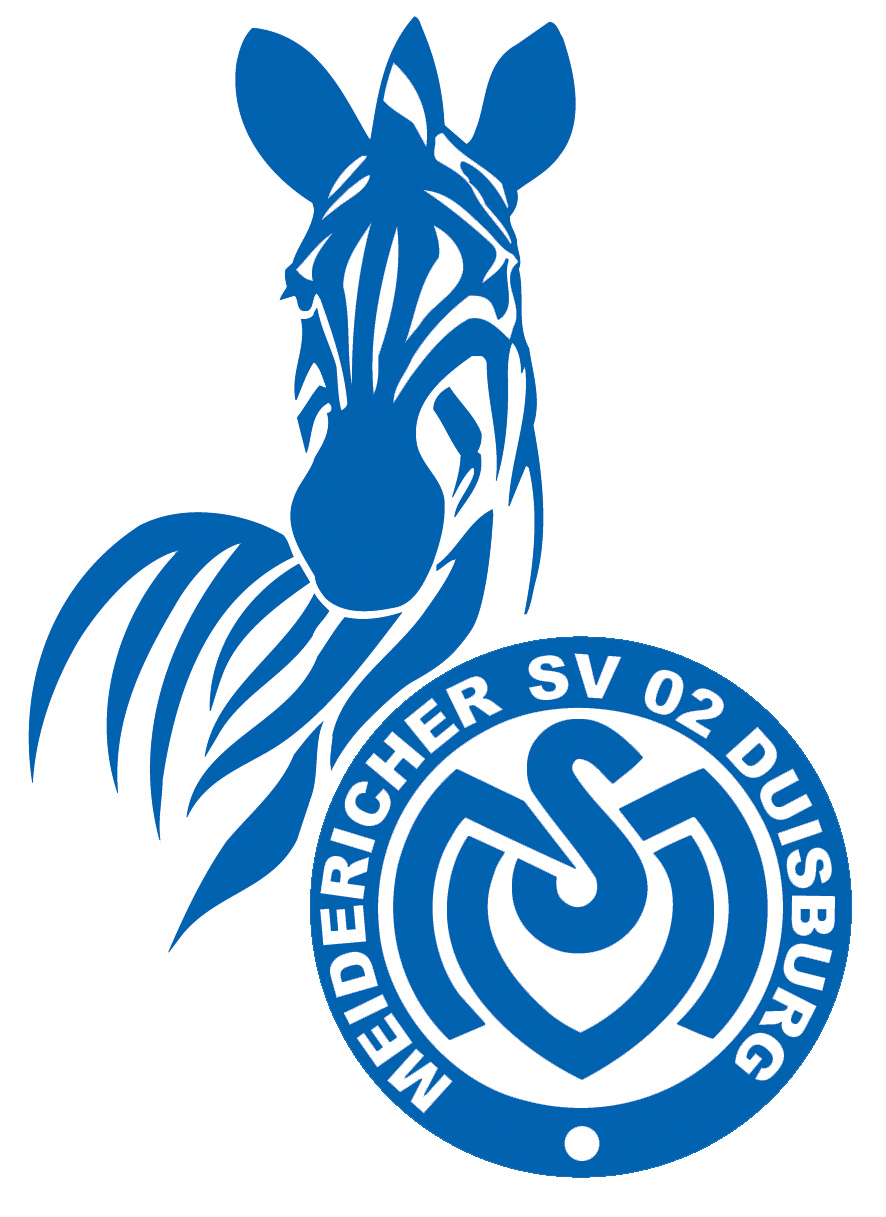 MSV Logo  2